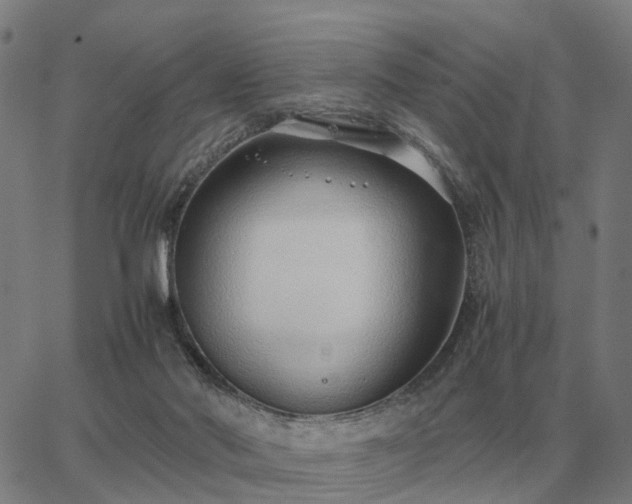 X0000062880022200601201831