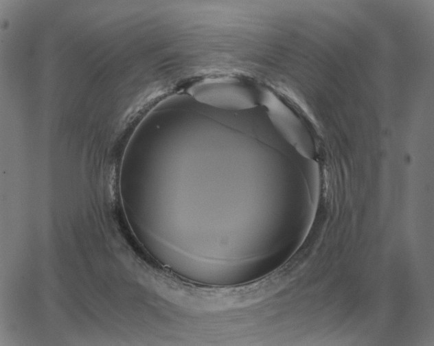 X0000062880023200601201831