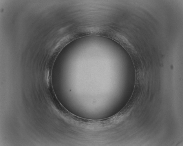 X0000062880024200601201831