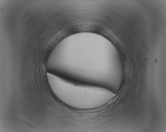 X0000062880025200601201831