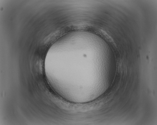 X0000062880026200601201831