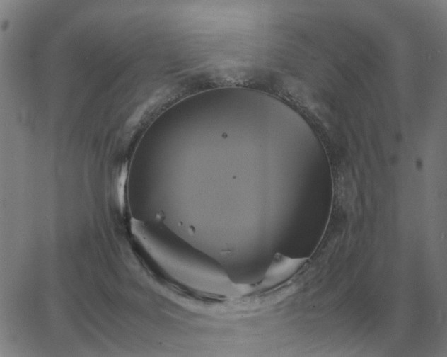 X0000062880027200601201831