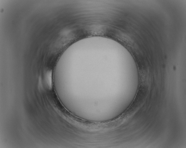 X0000062880028200601201831