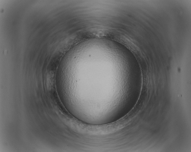 X0000062880030200601201831