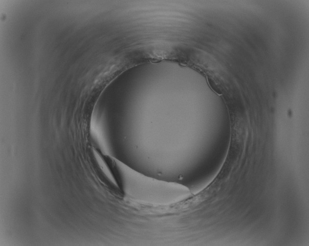 X0000062880031200601201831