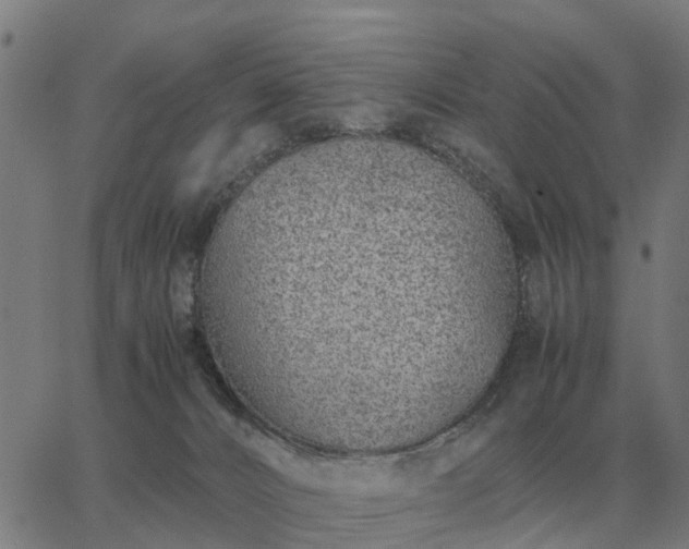 X0000062880032200601201831