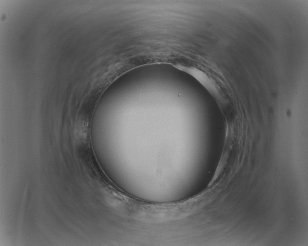 X0000062880033200601201831