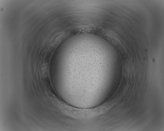 X0000062880034200601201831