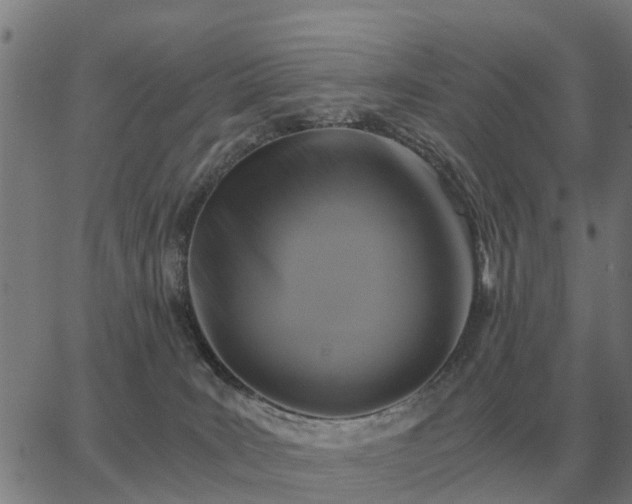 X0000062880035200601201831