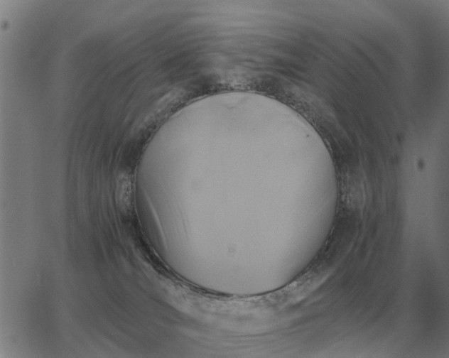 X0000062880036200601201831