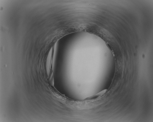 X0000062880037200601201831