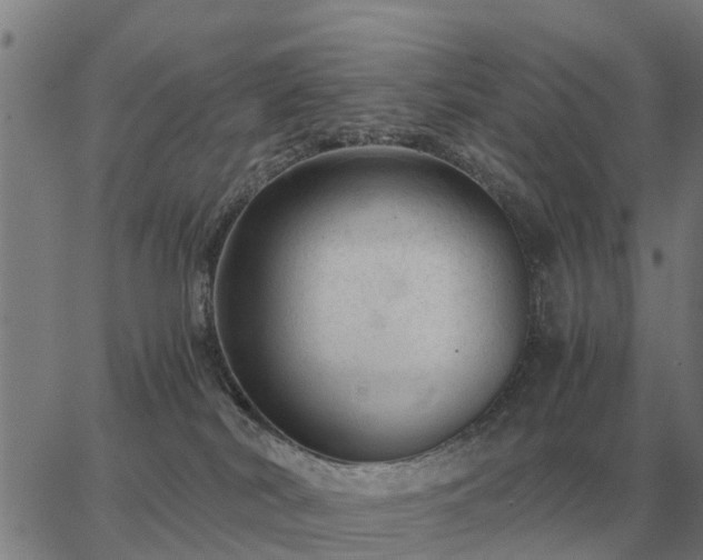 X0000062880038200601201831