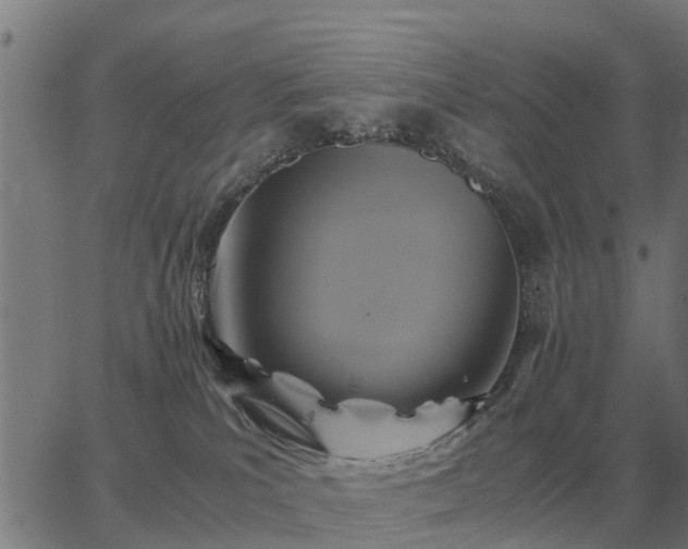 X0000062880039200601201831