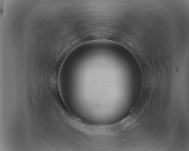 X0000062880040200601201831