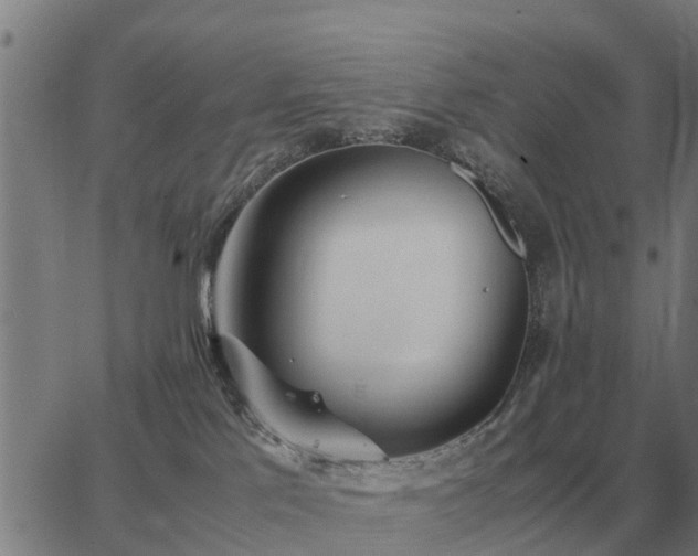 X0000062880041200601201831