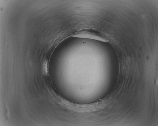 X0000062880042200601201831