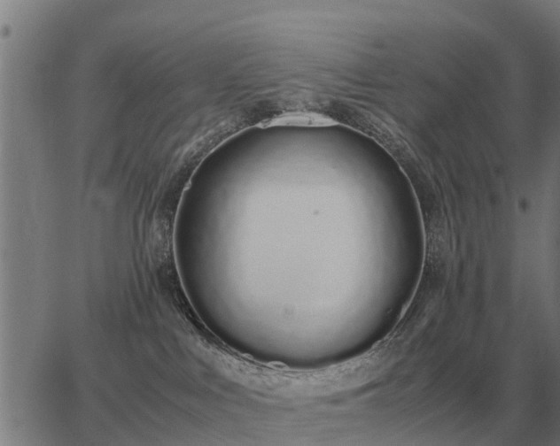 X0000062880043200601201831