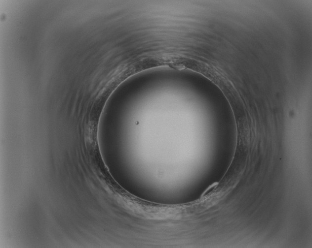 X0000062880044200601201831