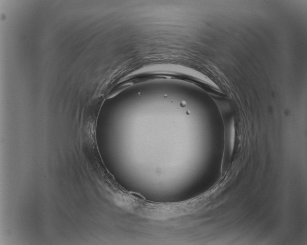 X0000062880045200601201831