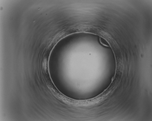 X0000062880046200601201831