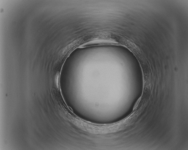 X0000062880047200601201831