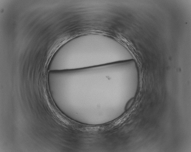 X0000062880049200601201830