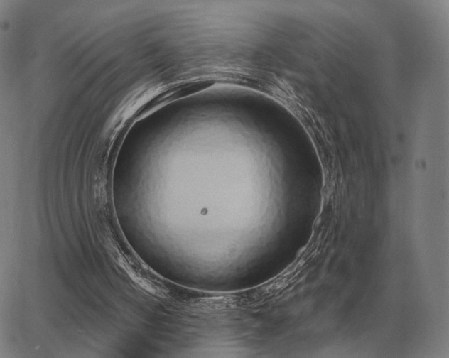 X0000062880050200601201830