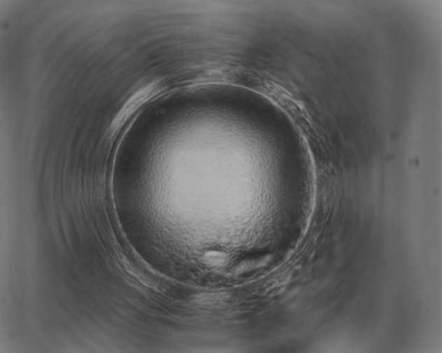 X0000062880051200601201830