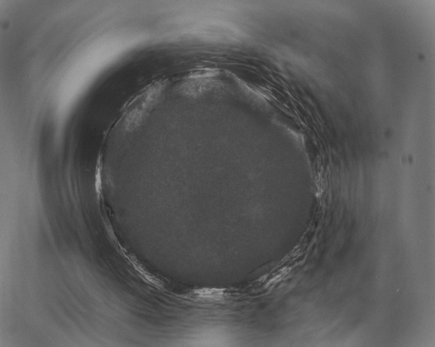 X0000062880052200601201830