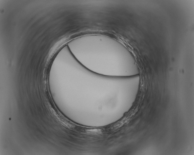 X0000062880053200601201830