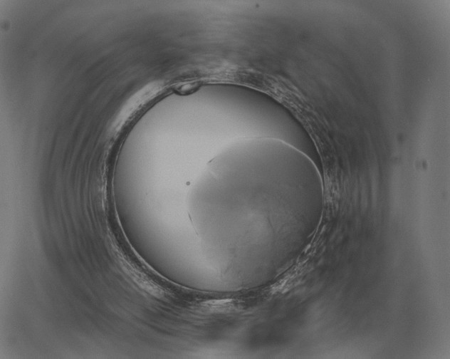 X0000062880054200601201830