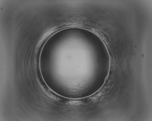 X0000062880055200601201830