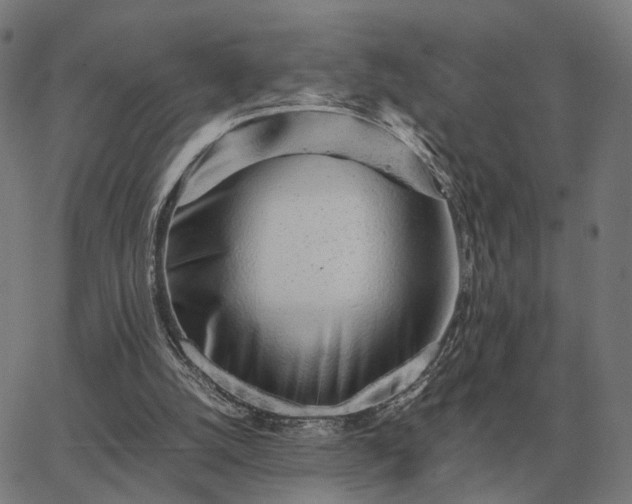 X0000062880056200601201830