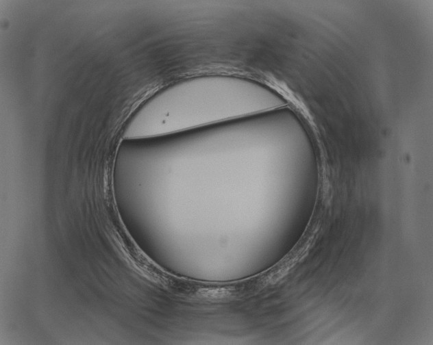 X0000062880057200601201830