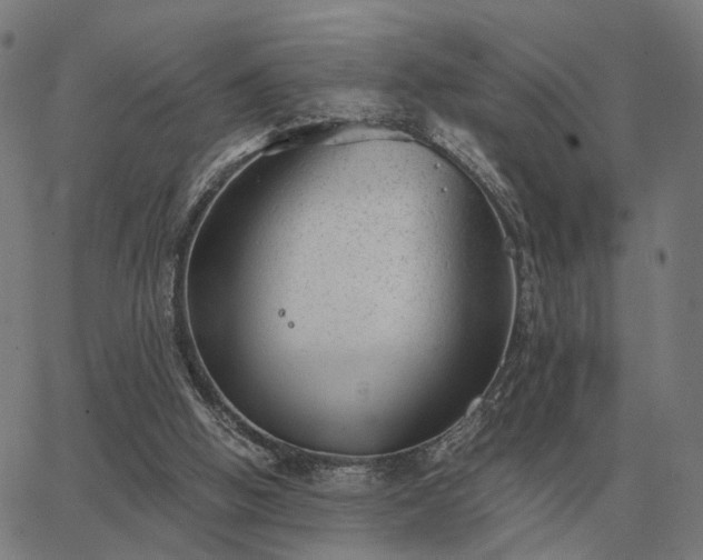 X0000062880058200601201830