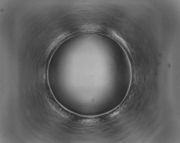 X0000062880059200601201830