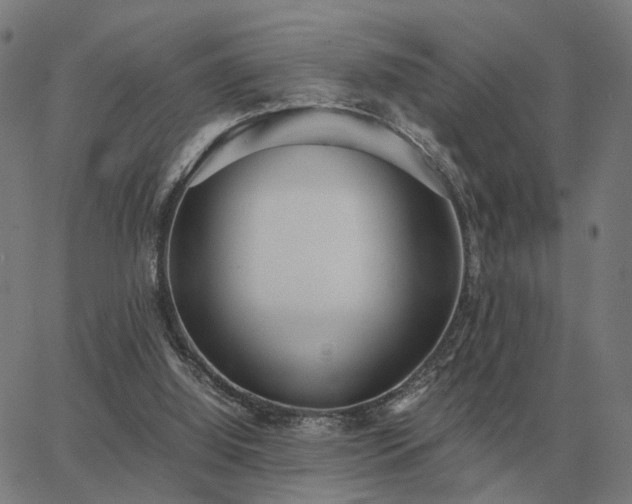 X0000062880060200601201830