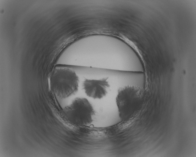 X0000062880061200601201830