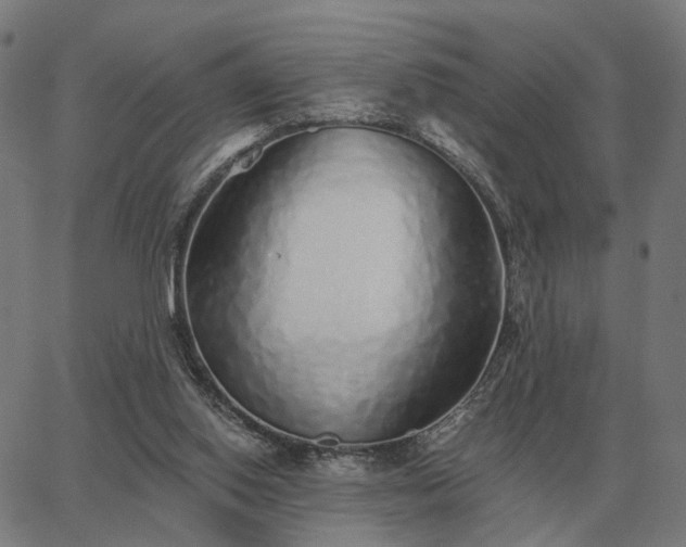 X0000062880062200601201830