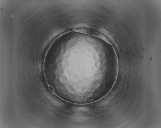 X0000062880063200601201830