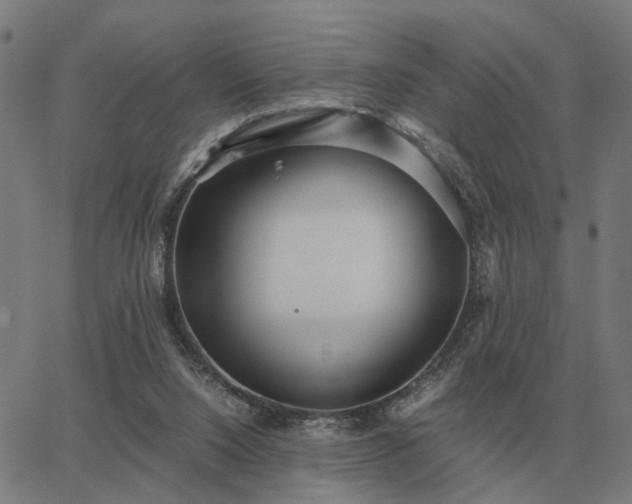 X0000062880064200601201830