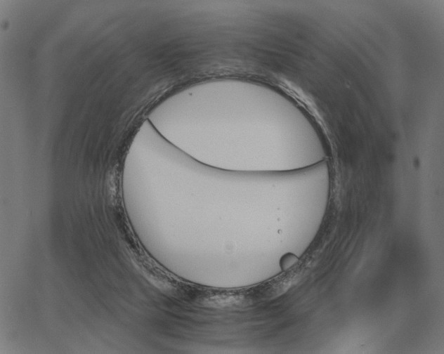 X0000062880065200601201830