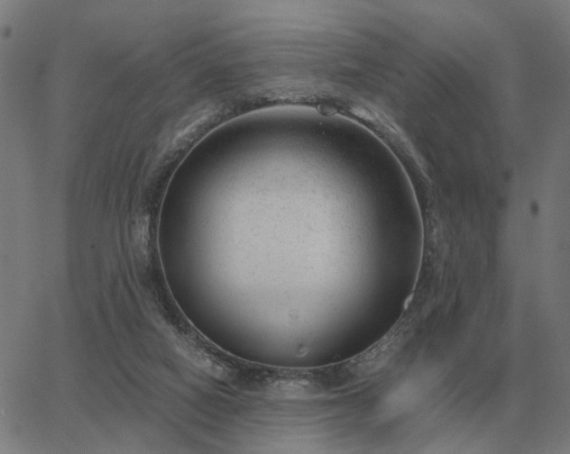 X0000062880066200601201830