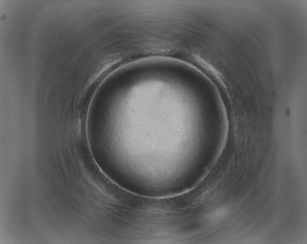 X0000062880067200601201830