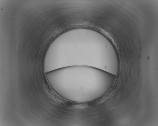 X0000062880069200601201830