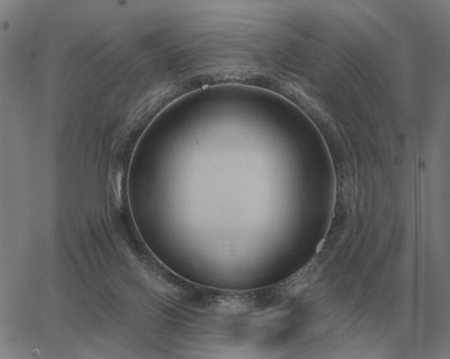 X0000062880070200601201830