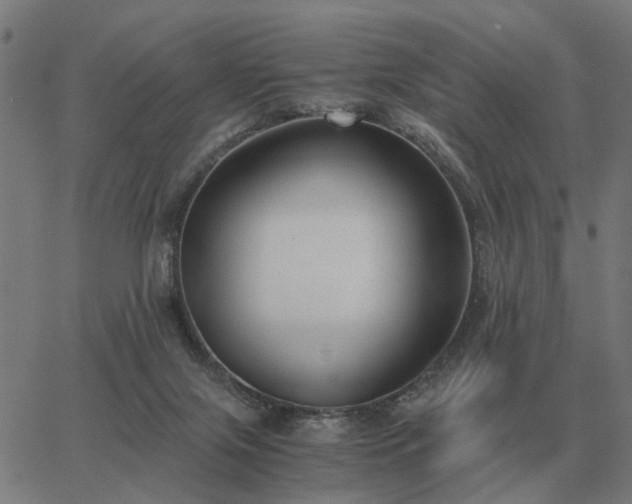 X0000062880071200601201830