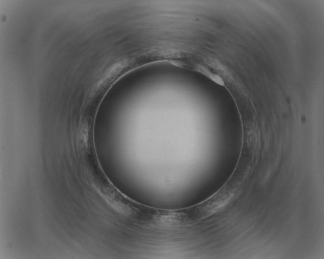 X0000062880072200601201830