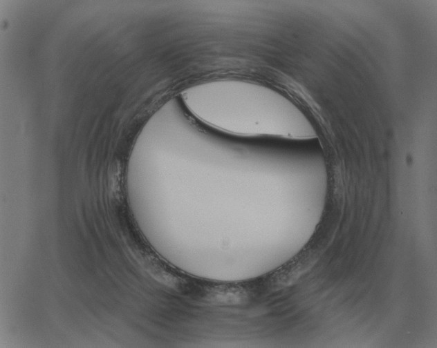 X0000062880073200601201830