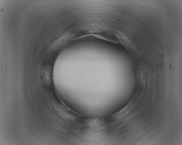 X0000062880074200601201830